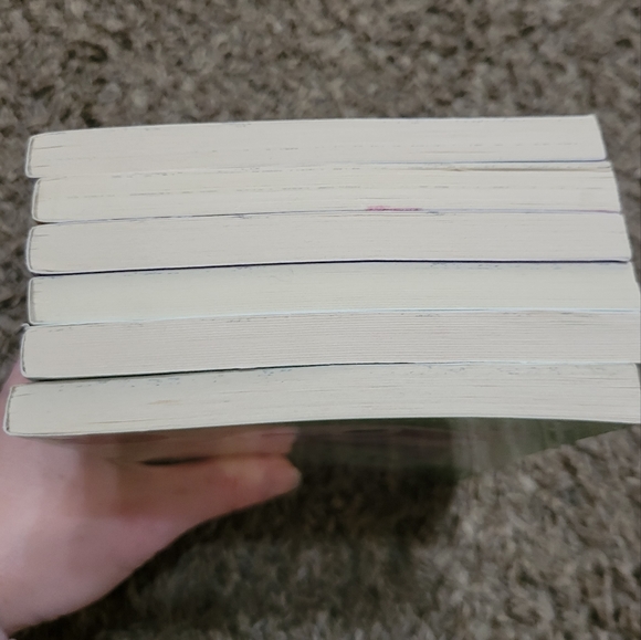 Misty Wood Fairy Animals Book LOT of 6 - Picture 10 of 12